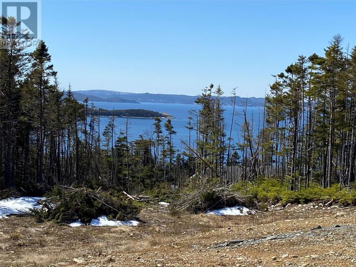 Property Photo:  10-12 Marsh Road  NL A0B 2P0 