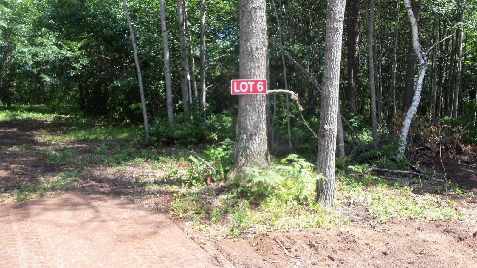 Property Photo:  Lot 6 Birch Tree Trl  WI 54801 