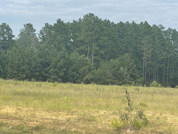 Property Photo:  7 Ac +- Evelyn Gandy Parkway  MS 39465 
