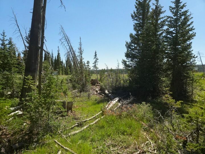 Property Photo: 2397 E Rainbow Ln UT 84719