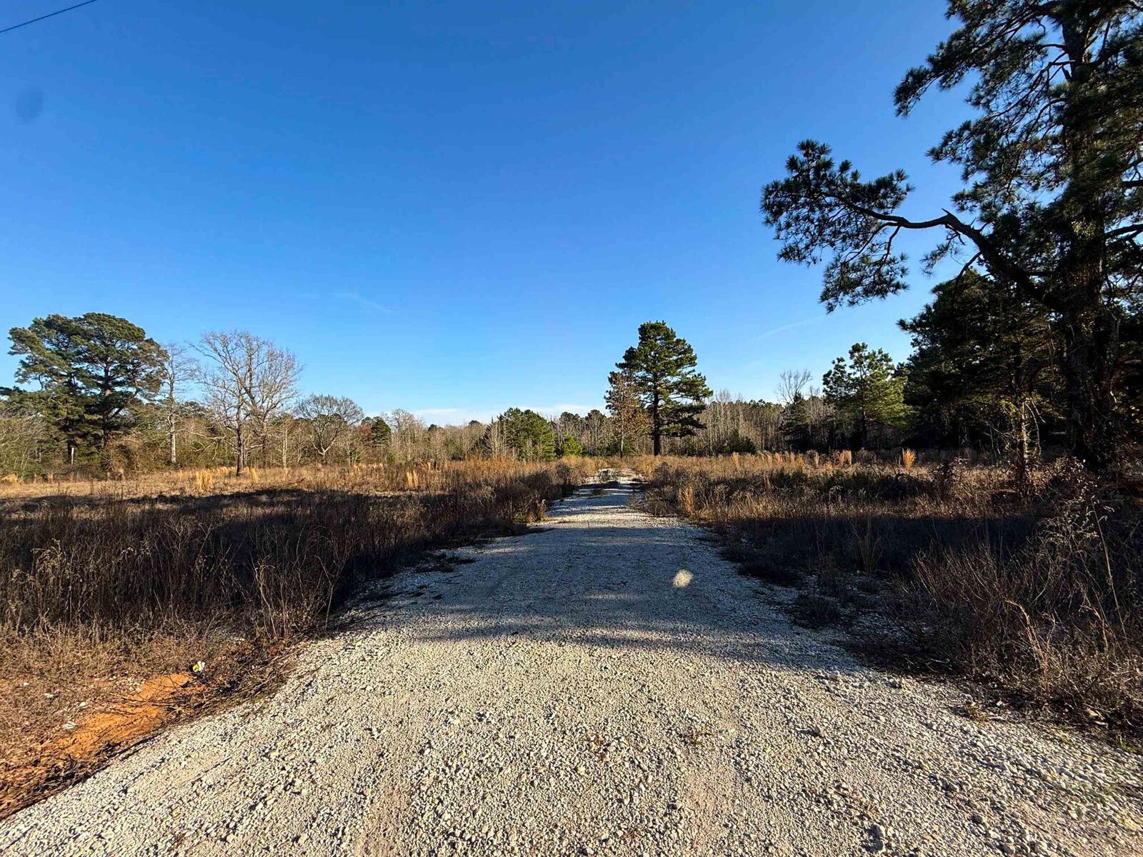 Property Photo: Tbd County Rd 2623 TX 75566