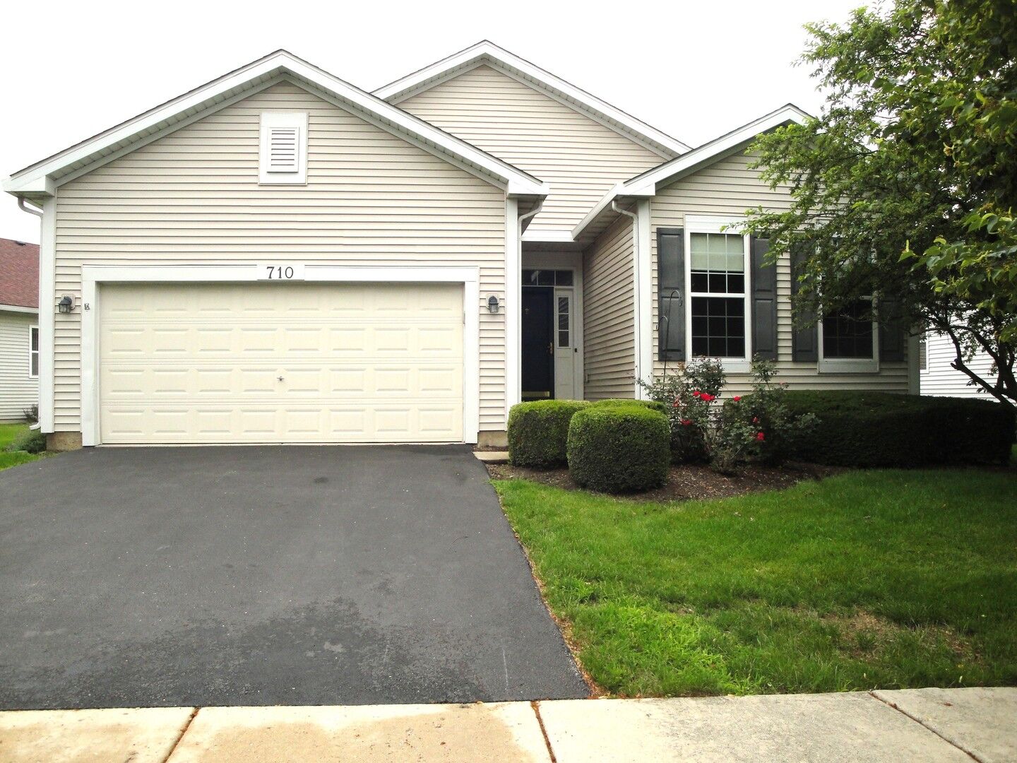 Property Photo:  710 S Mecosta Lane  IL 60446 