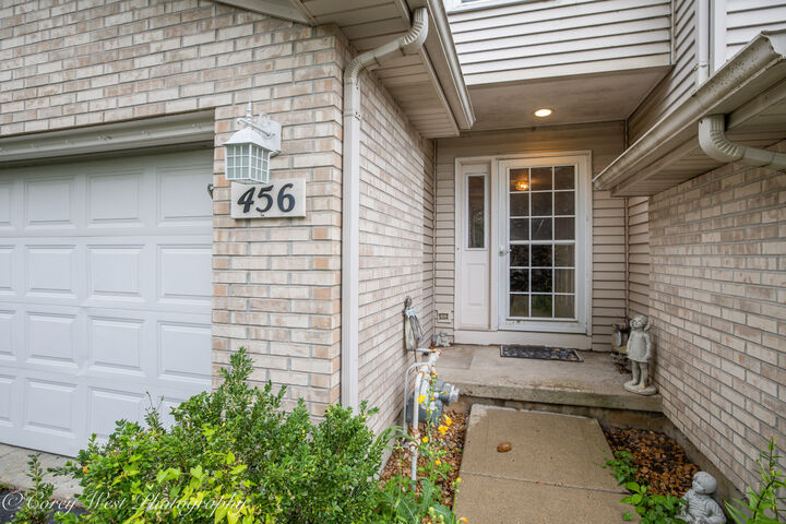 Property Photo:  456 E Reader Street 456  IL 60119 