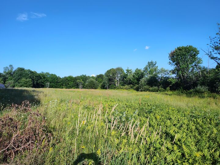 Property Photo: 23 Dexter Road ME 04971