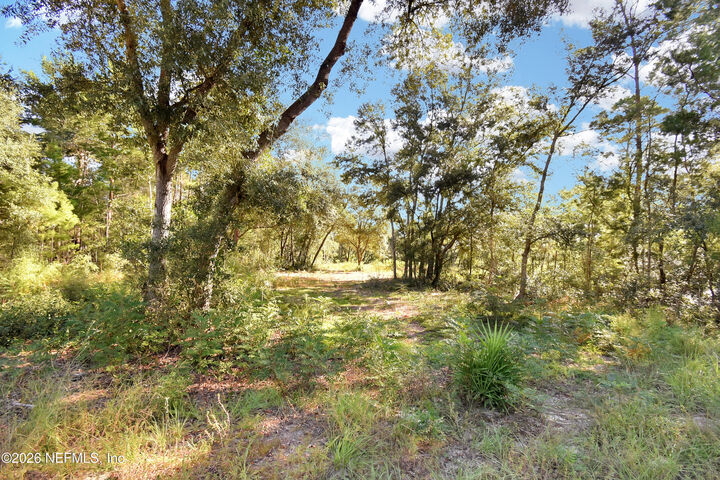 Property Photo:  7455 Rye Court  FL 32656 