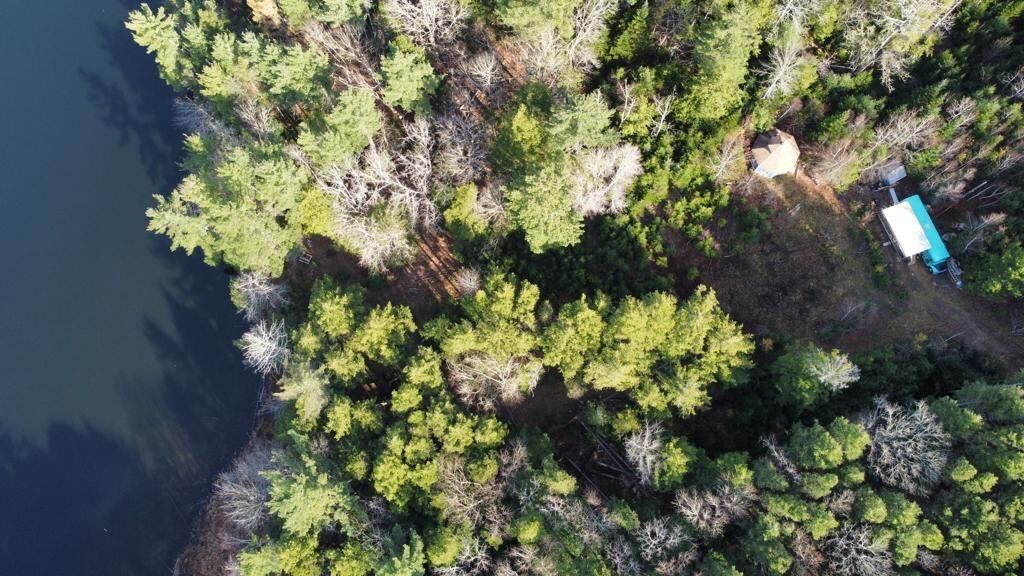Property Photo:  95 Natural Forest Lake Road  NS B0R 1A0 