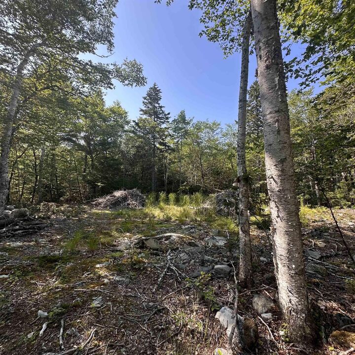 Property Photo:  Lot 49 Island View Terrace  NS B0T 1E0 