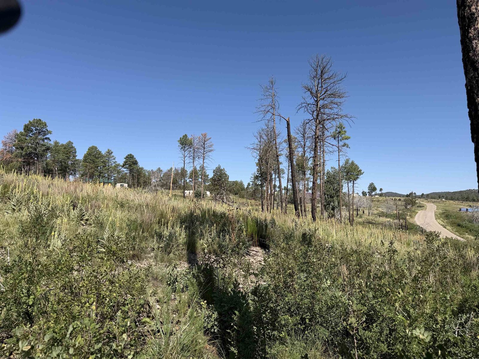 Property Photo:  Pawhuska Dr Movac Loop  NM 88350 