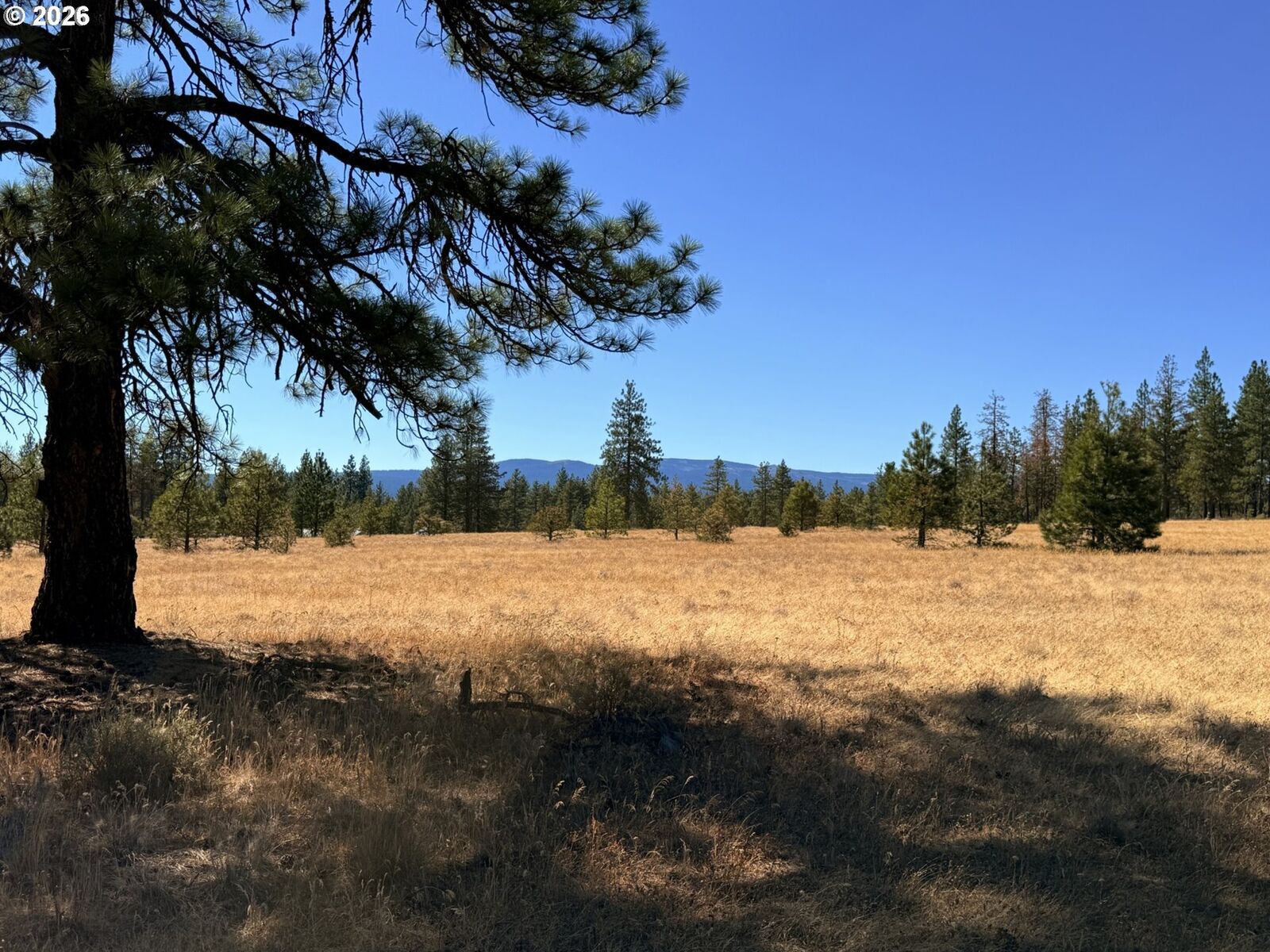 Property Photo:  Box Canyon Buckhorn 1  WA 98620 