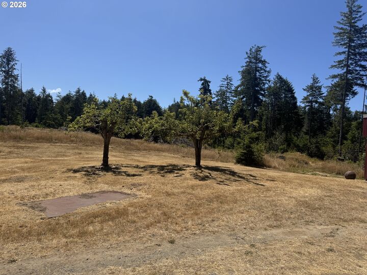 Property Photo:  88640 Bill Creek Ln  OR 97411 