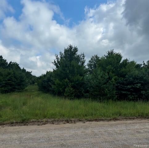 Property Photo: 000 Fletcher Road MI 48653