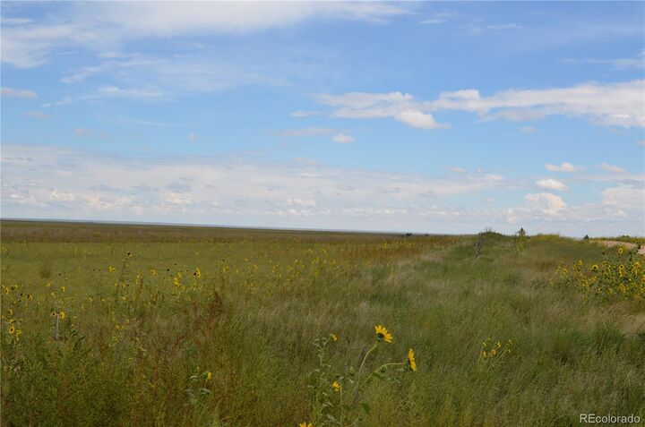 Property Photo:  Parcel 7 County Rd V  CO 80833 