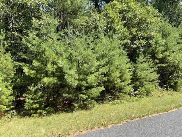 Property Photo: Parcel 18th Avenue WI 54613