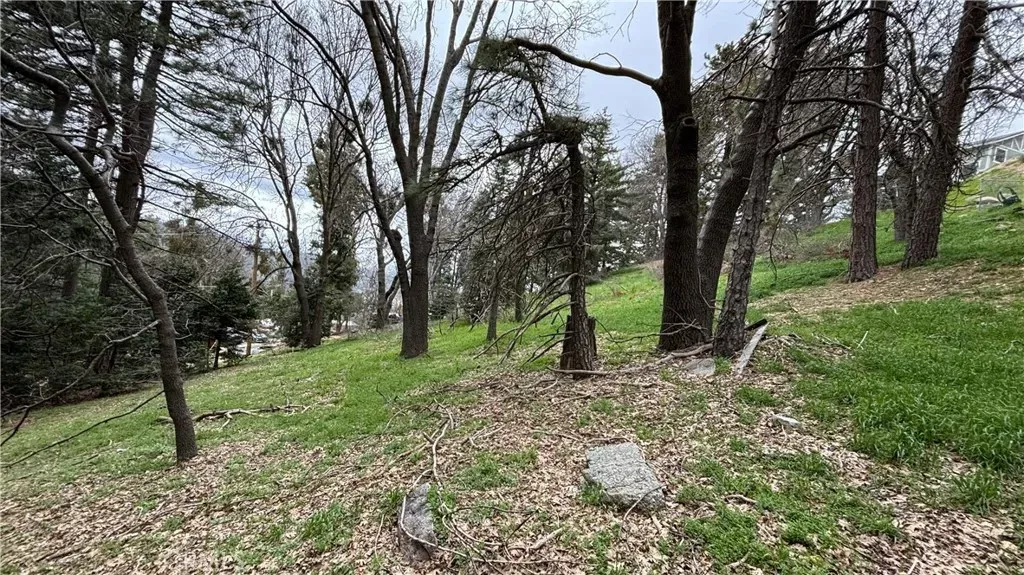 Property Photo: 757 Scenic View CA 92325