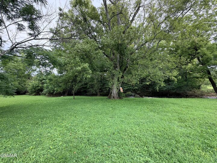 Property Photo: 675 Catnip Road TN 37727