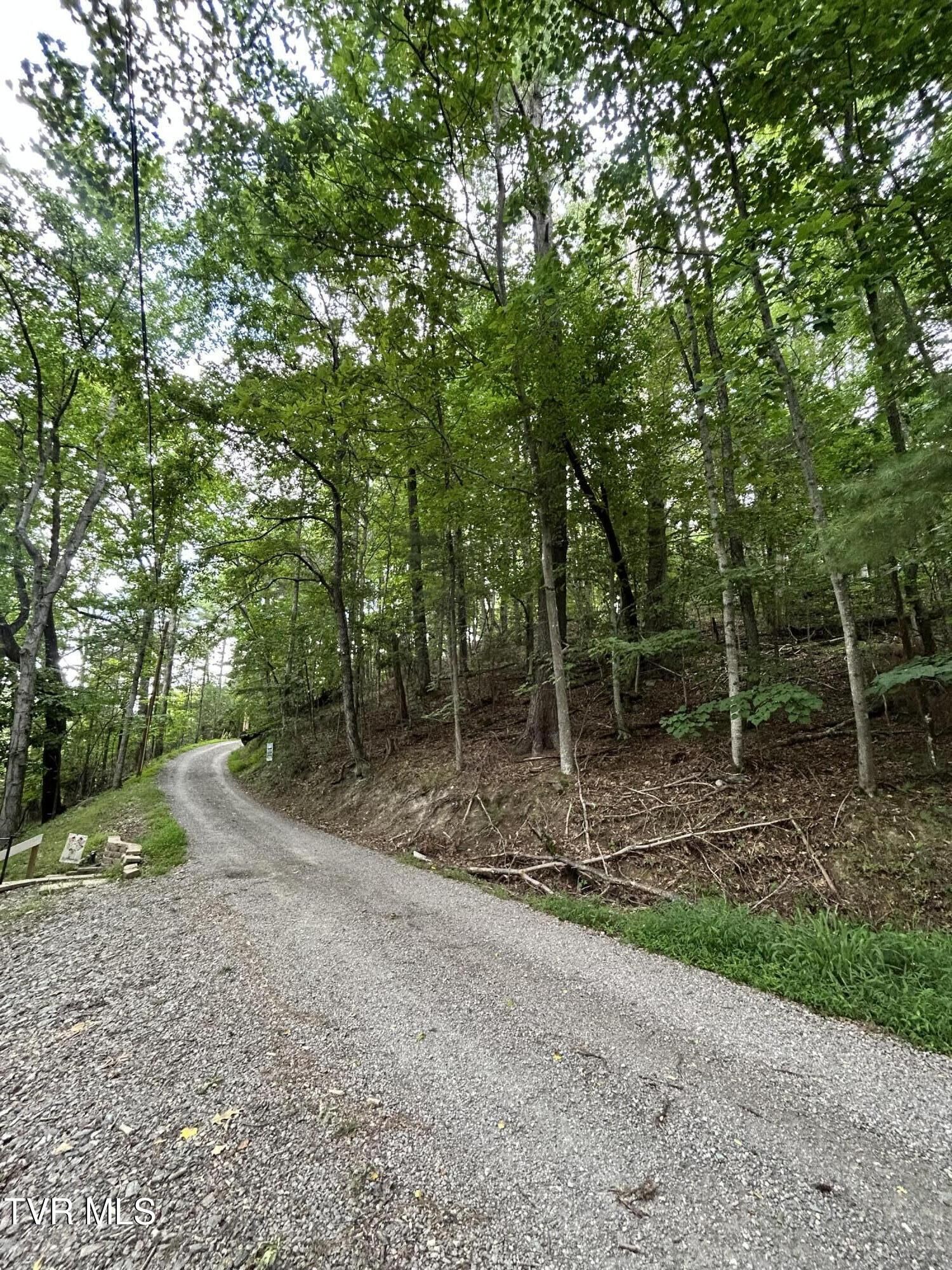 Property Photo: Tbd Moody Circle TN 37640