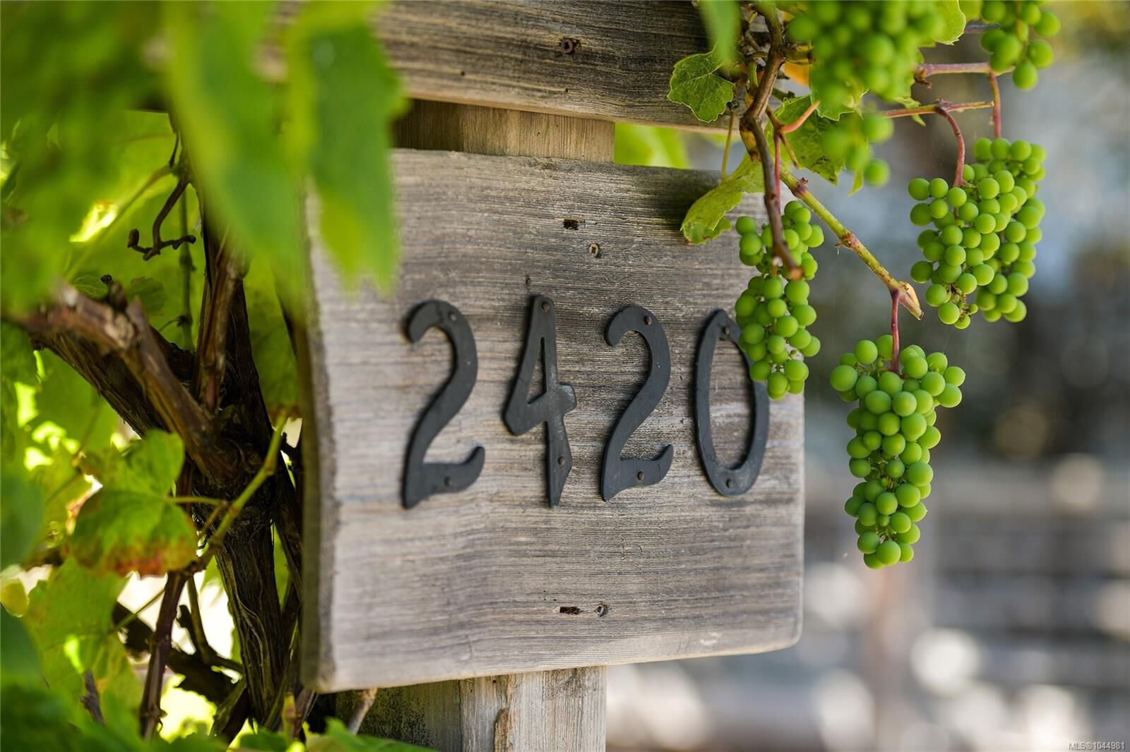 Property Photo:  2420 Dryfe St  BC V8R 5T2 