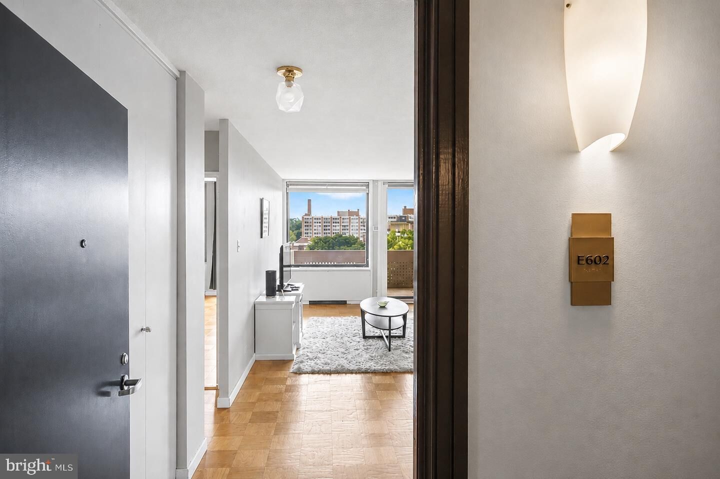 Property Photo:  1245 4th Street SW E602  DC 20024 