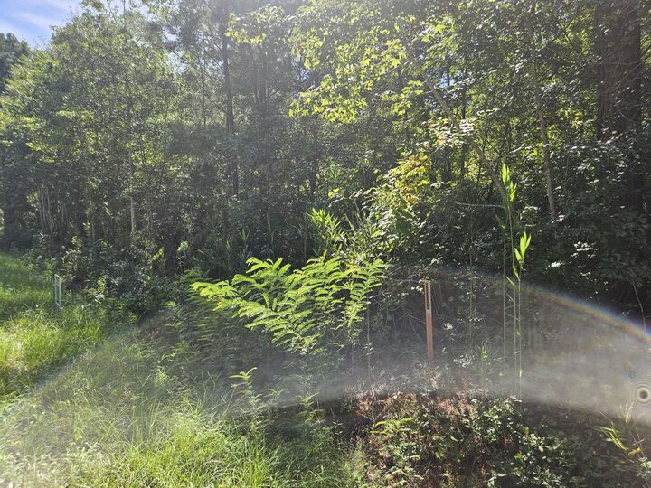 Property Photo:  0 Porcher School Road  SC 29429 