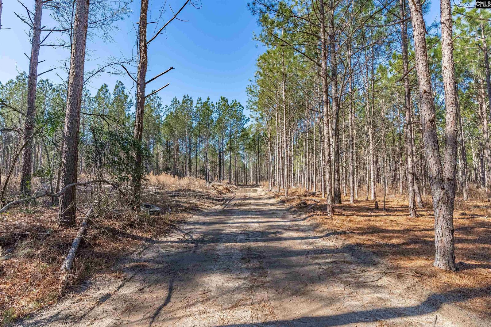 Property Photo: Lot #7 Fairview 008200-07-010 SC 29006