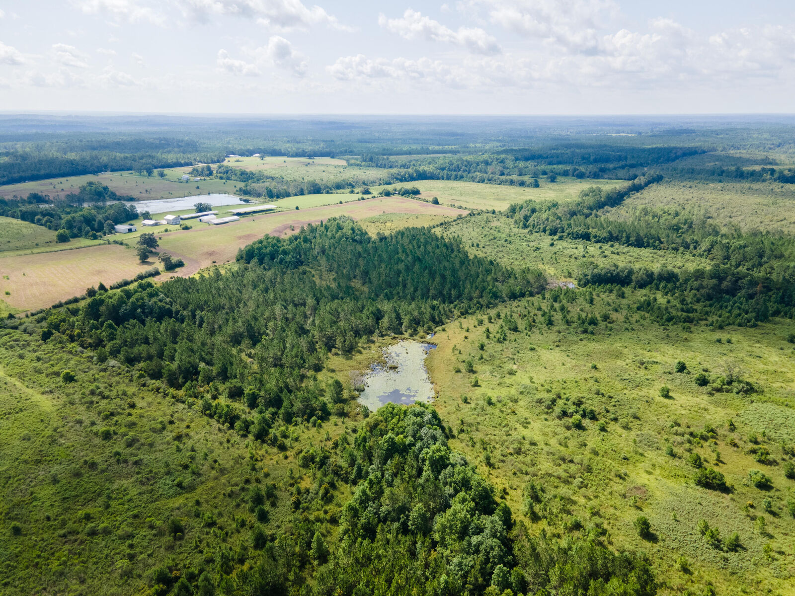 Property Photo: Lot 13 Campbell Road FL 32435