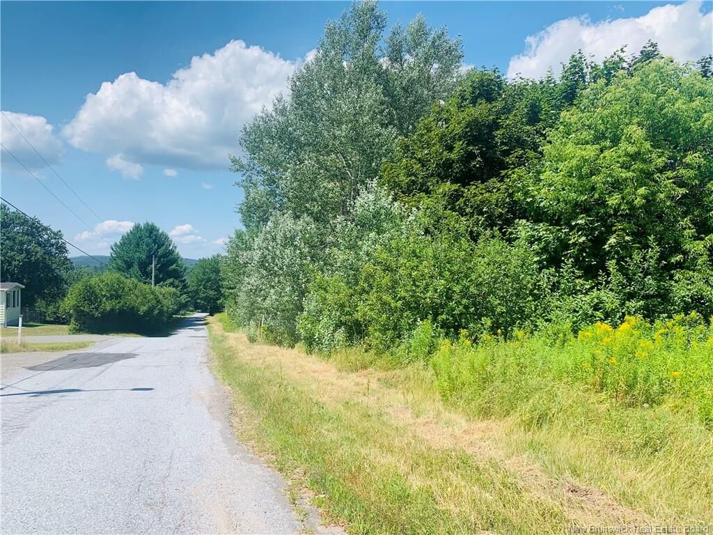 Property Photo:  Land Bovaird Street  NB E5N 3A5 
