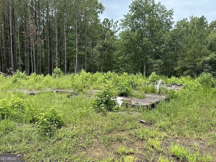Property Photo:  0 Ferry Road  GA 30217 
