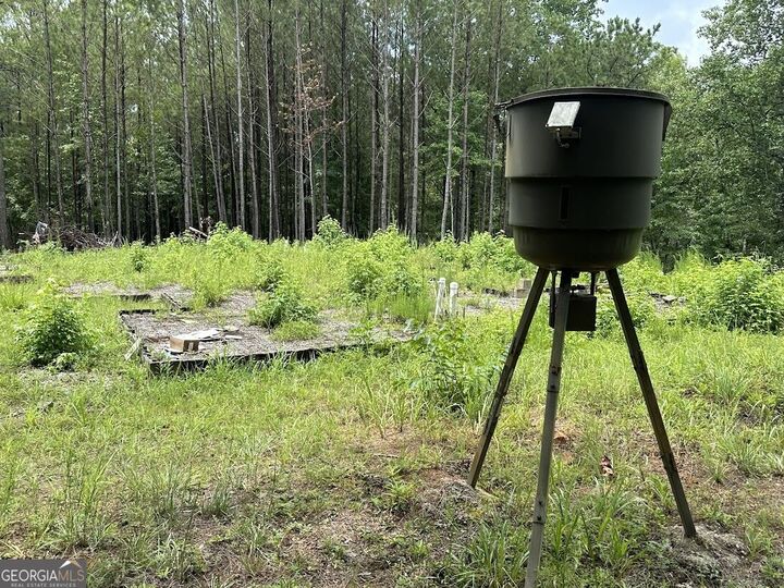 Property Photo: 0 Ferry Road GA 30217
