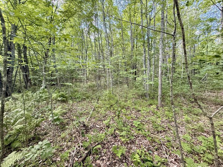 Property Photo:  0 W Washington Road  ME 04574 