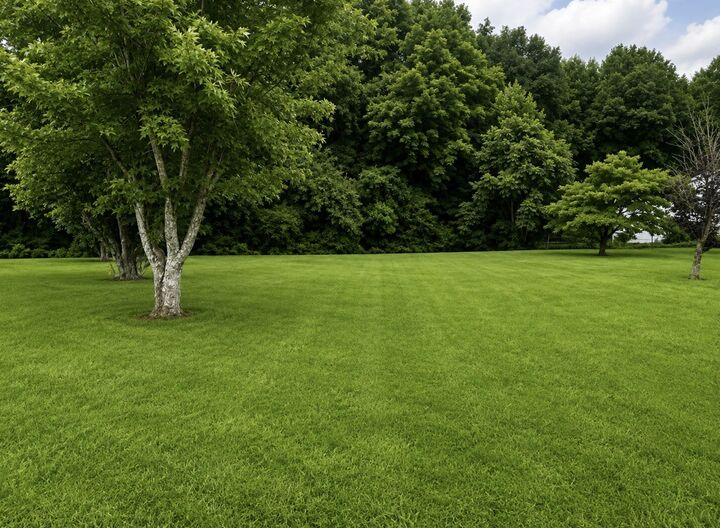 Property Photo:  53 Pine Grove Rd  TN 37166 
