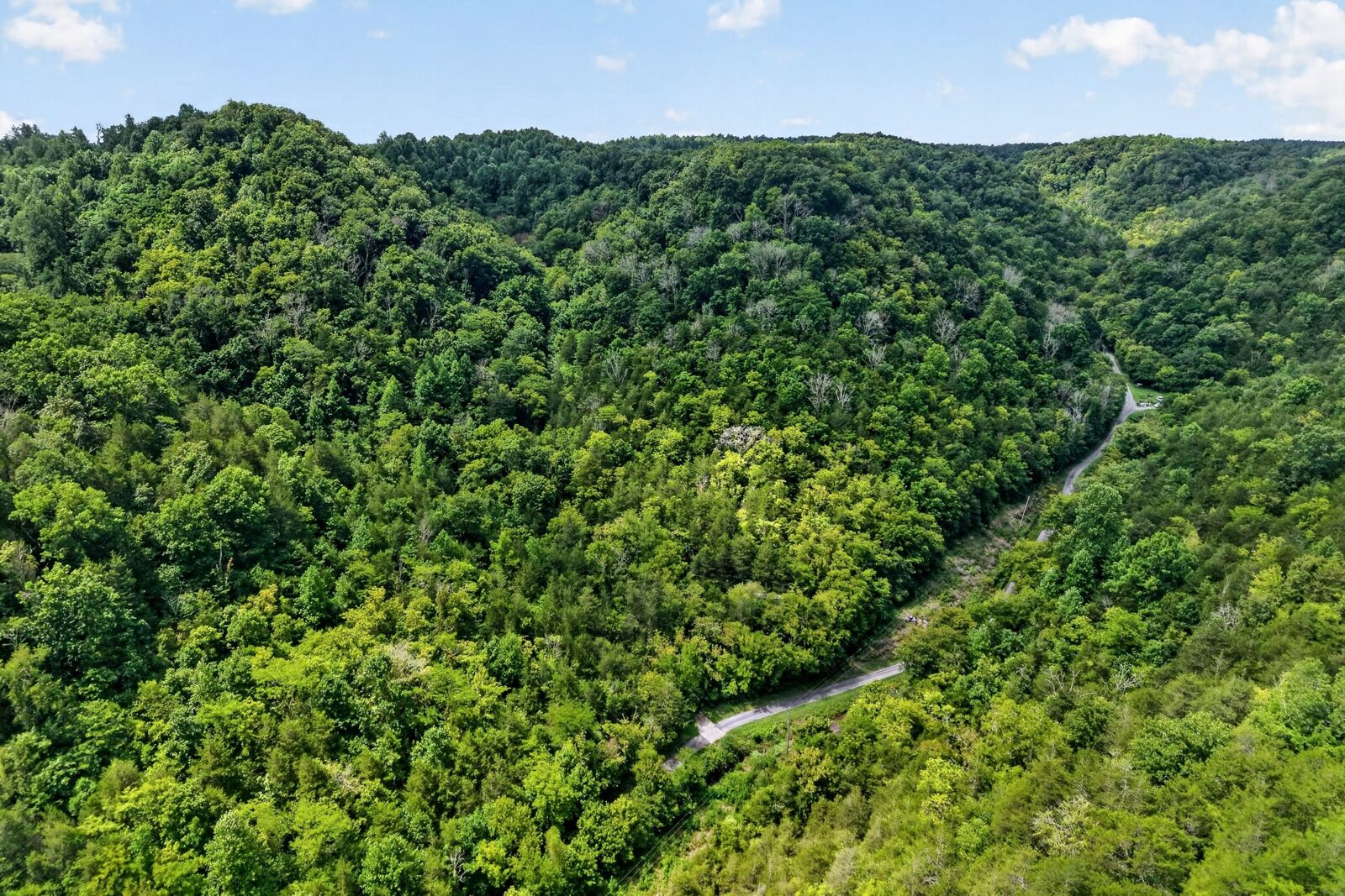 Property Photo:  0 Turkey Branch Rd  TN 37095 