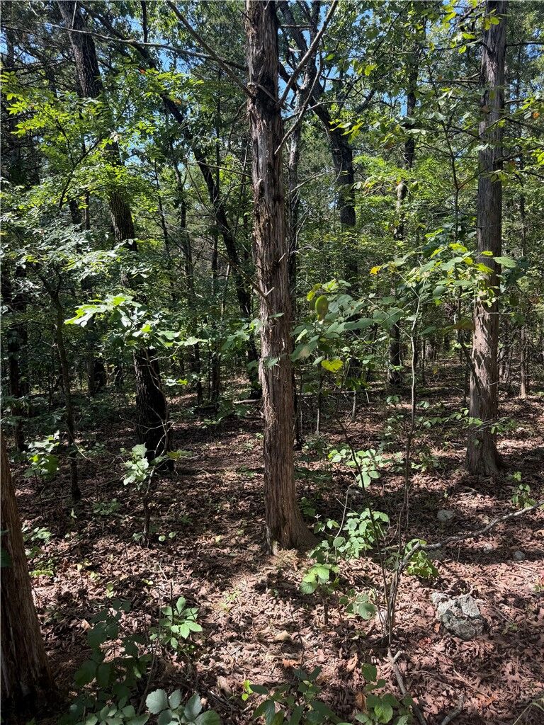 Property Photo:  Tbd Larchwood Drive  AR 72644 