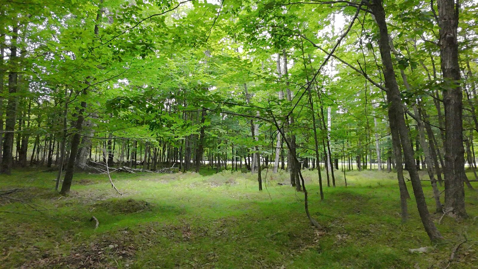 Property Photo: Gibraltar Road 12 WI 54212