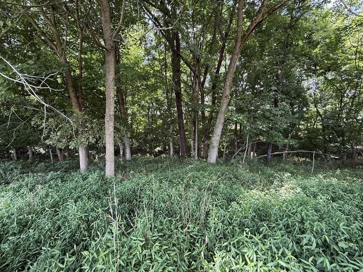 Property Photo:  1921 Clifty Church Drive  KY 42754 