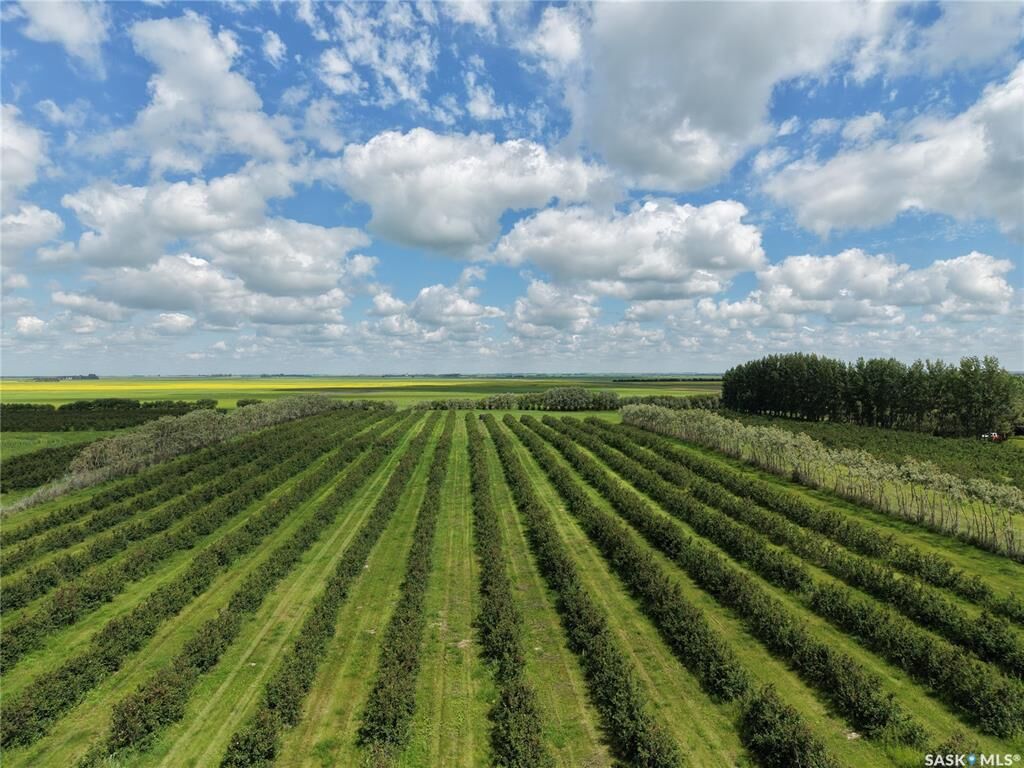 Property Photo: Rural Address SK S0G 3T0