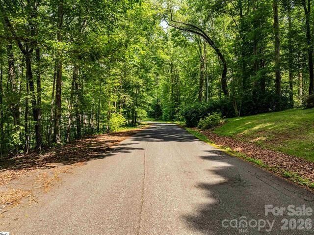 Property Photo:  67 &Amp 68 Wildflower Lane  SC 29690 
