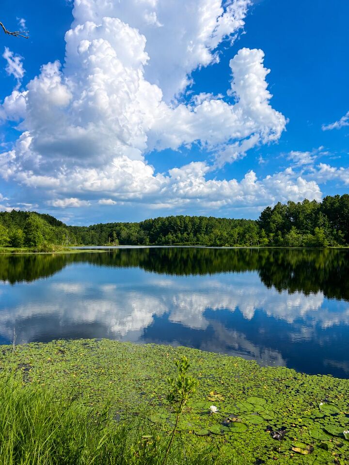 Property Photo: 1581 Hwy C 180 FL 32531