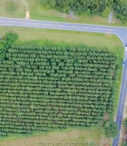 Property Photo:  Nc Hwy. 904 Highway W  NC 28340 