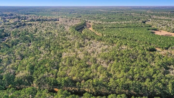 Property Photo: Tbd Highway 61 TX 77560
