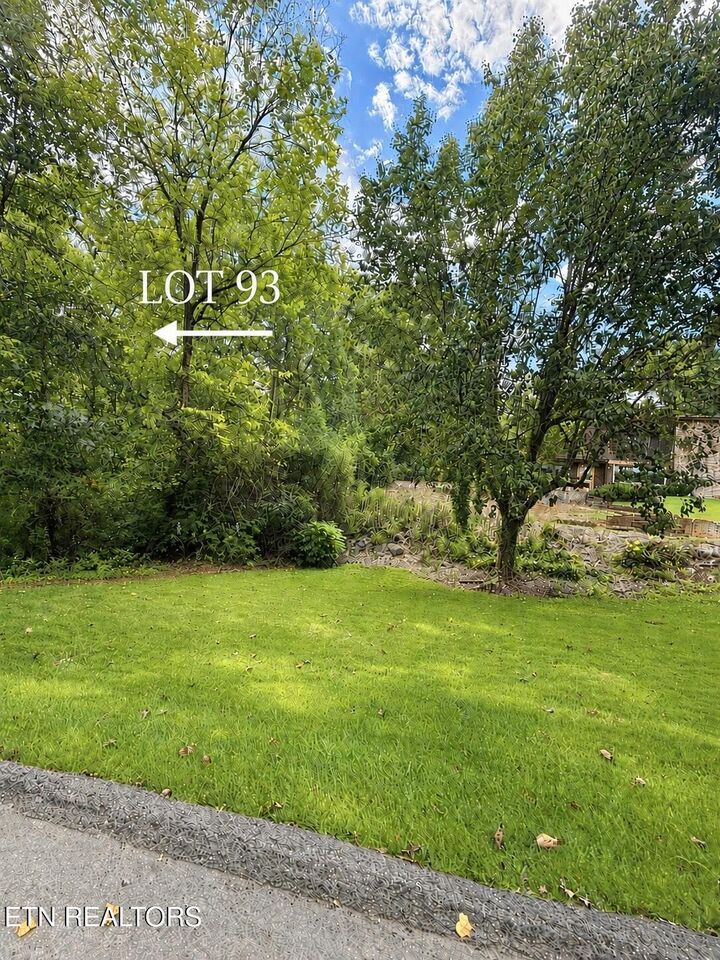 Property Photo: Lot 93 Rockhaven Rd TN 37920