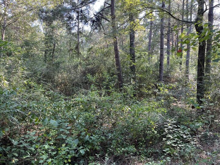 Property Photo:  16328 Hwy 69 South  TX 75949 