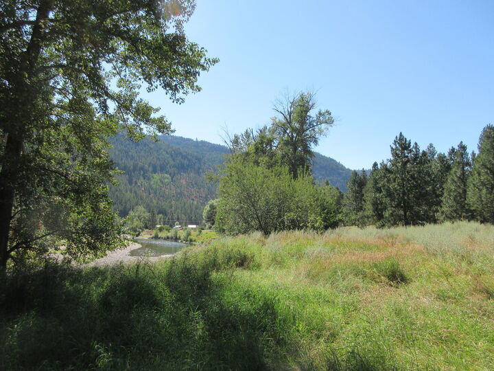 Property Photo:  Tbd Customs Rd  WA 99118 