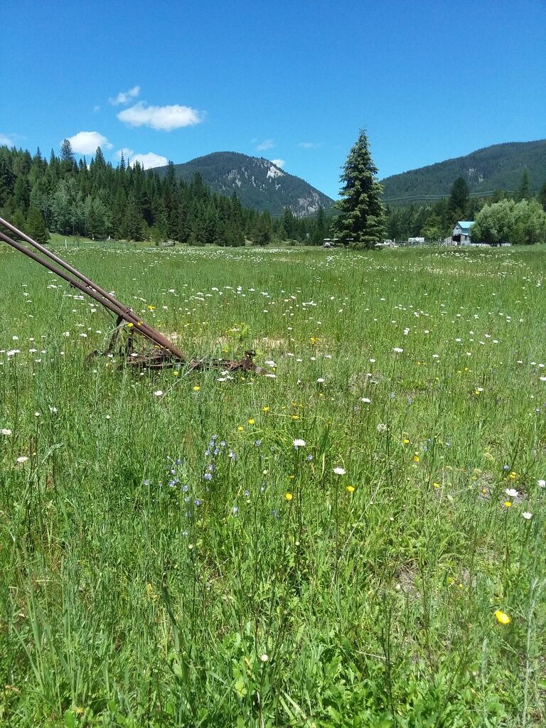 Property Photo:  77 Wildwood Drive  MT 59830 