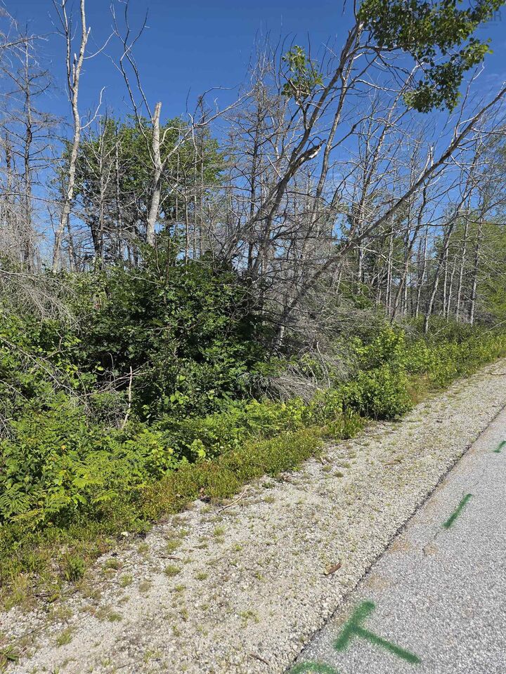 Property Photo:  Tbd Shore Road  NS B0T 1W0 