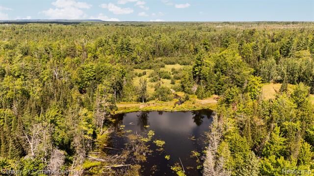 Property Photo: 3265 Roost Road MI 49765