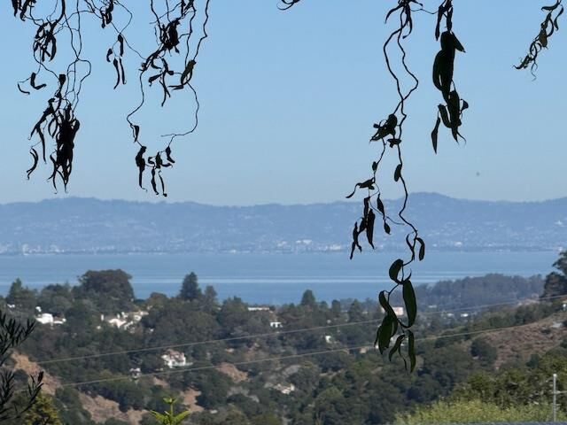 Property Photo:  1204 Laurel Hill Drive  CA 94402 