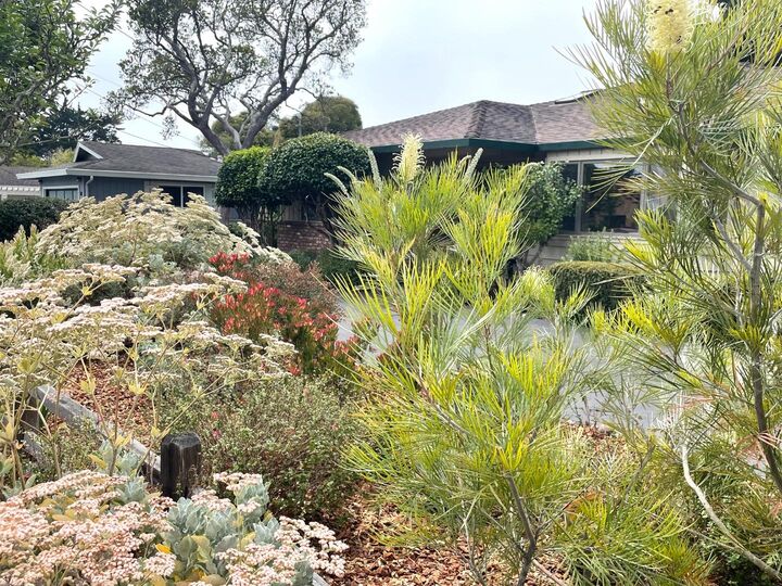 Property Photo:  215 Lamanda Drive  CA 95003 