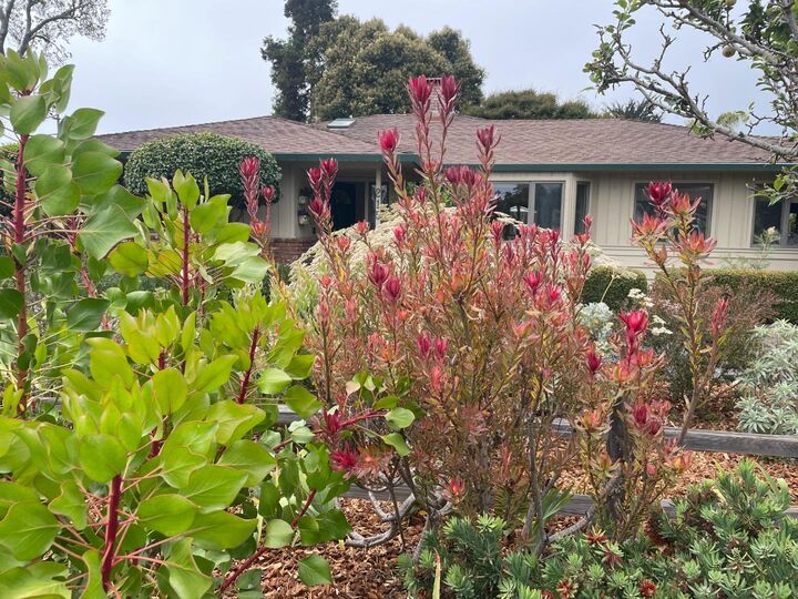 Property Photo: 215 Lamanda Drive CA 95003