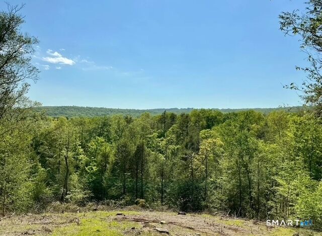 Property Photo: 0 South Street CT 06238