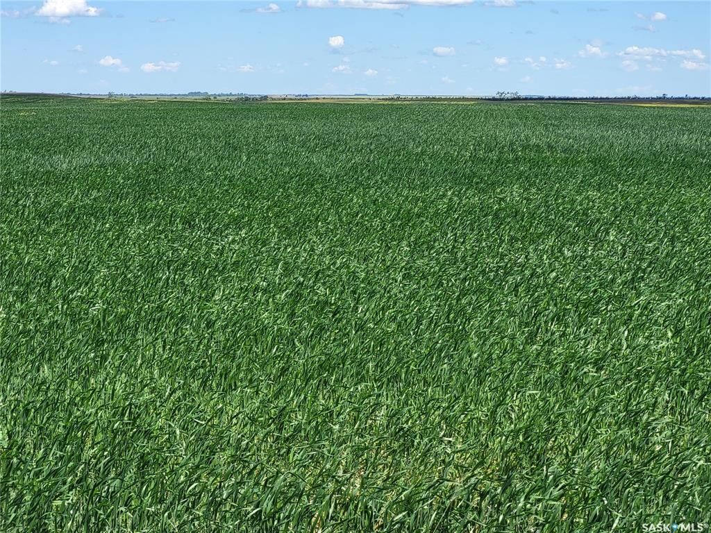 Property Photo:  Rural Address  SK S0C 2C0 